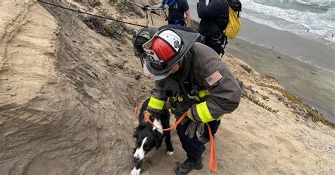Dog rescued from cliff at Fort Funston